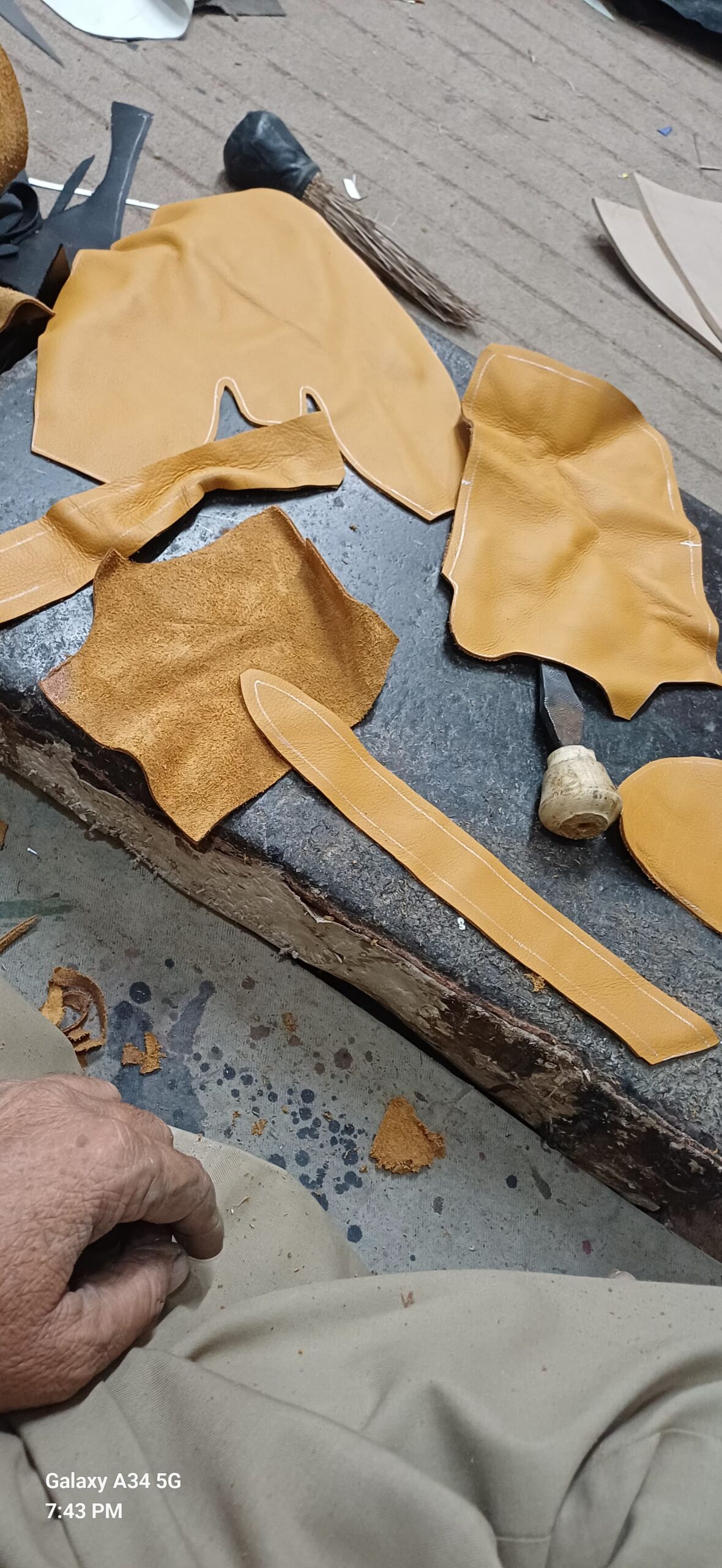 WhatsApp Image 2026-02-01 at 02.09.58